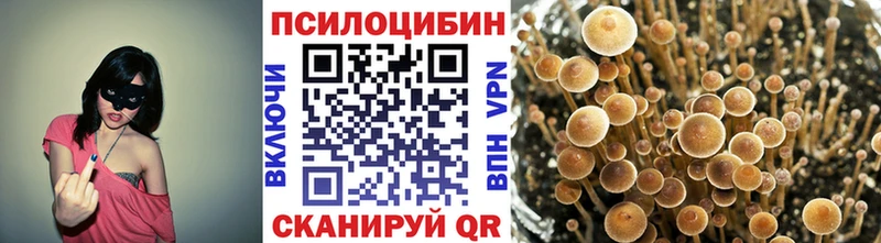 Галлюциногенные грибы MAGIC MUSHROOMS Энем